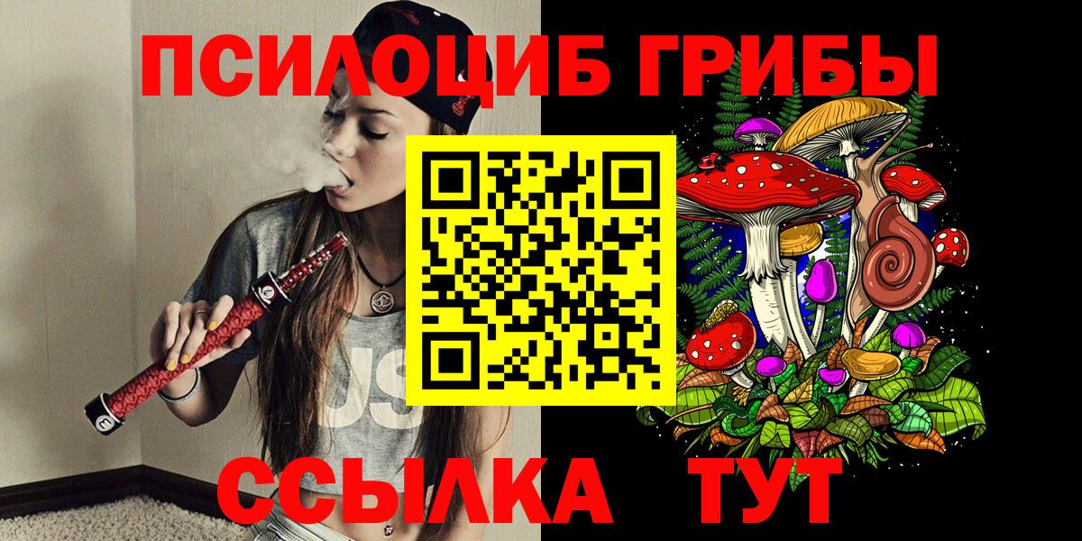 Галлюциногенные грибы Psilocybe  Вход с VPN  Муравленко 