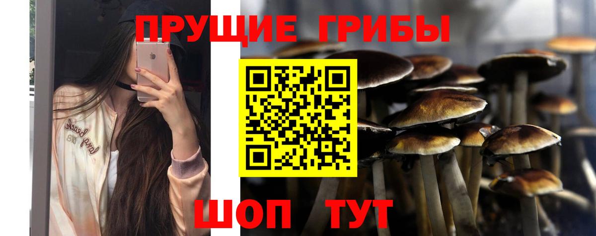 Галлюциногенные грибы MAGIC MUSHROOMS Муравленко